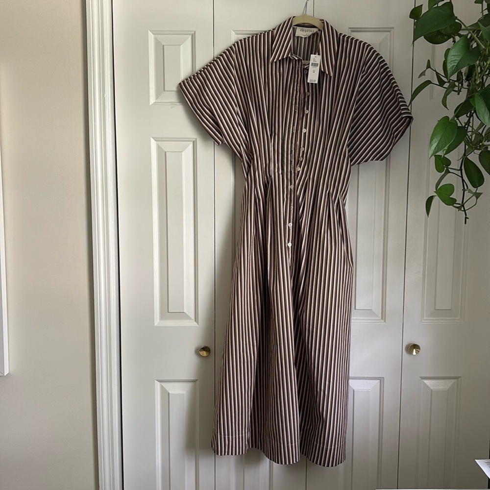 Exquise Tobie Dress in Brown Stripe Combo